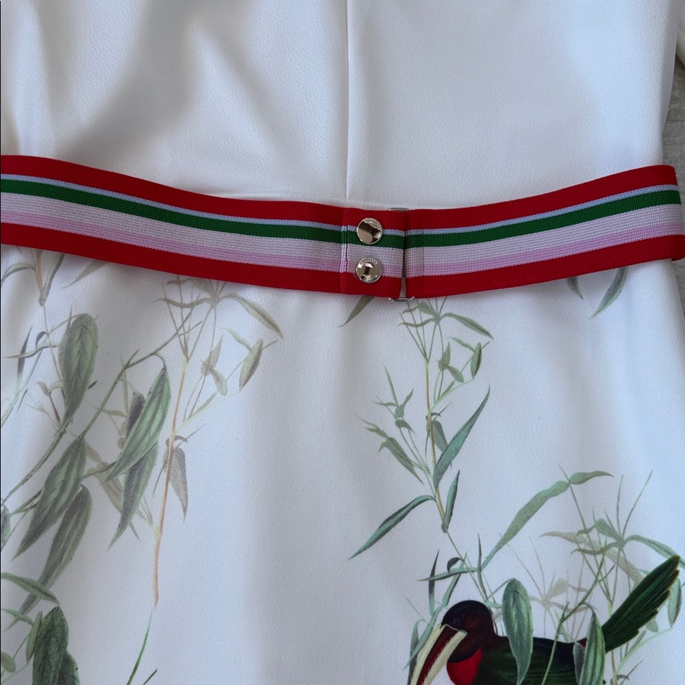 Ted Baker London White Midi Dress with Green & Red Belt and Botanical Bird Print - Picture 4 of 7